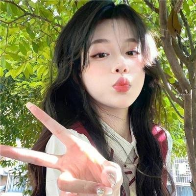 档案风暴